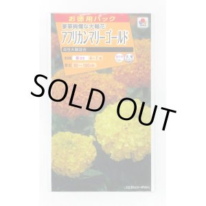 画像: 送料無料　花の種　お徳用パック！アフリカンマリーゴールド　高性大輪混合　タキイ種苗　NL500