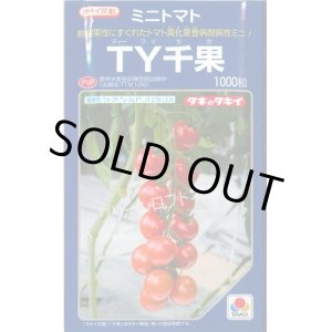 画像: 送料無料　トマト　TY千果　1000粒　タキイ種苗(株)