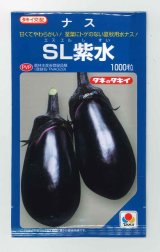 画像: 送料無料　[なす]　ＳL紫水　1000粒　タキイ種苗(株)