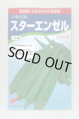 画像: 送料無料　[オクラ]　スターエンゼル　45粒　渡辺交配