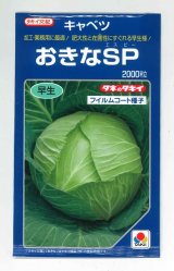 画像: 送料無料　[キャベツ]　おきなSP　2000粒　貴種(コートしてません)　タキイ種苗(株)