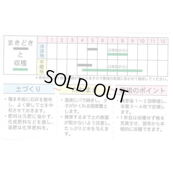 画像3: 送料無料　[葉物]　アシタバ　4ml　(株)タカヤマシード (3)