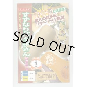 画像: 送料無料　[かぼちゃ]　すずなりバタ子さん　100粒　ナント種苗(株)