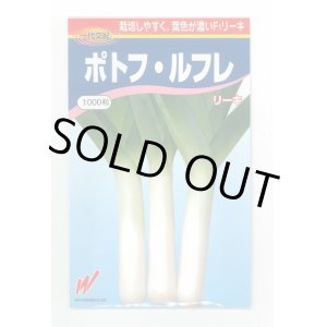 画像: 送料無料　[ねぎ]　リーキ　ポトフ・ルフレ　1000粒　渡辺農事