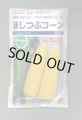 画像: 送料無料　[とうもろこし]　ほしつぶコーン　200粒　タキイ種苗