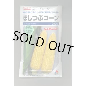 画像: 送料無料　[とうもろこし]　ほしつぶコーン　200粒　タキイ種苗