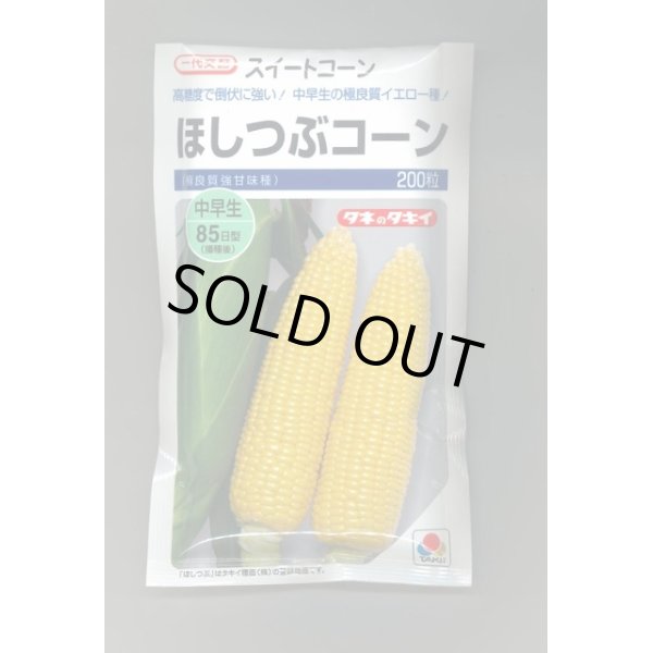 画像1: 送料無料　[とうもろこし]　ほしつぶコーン　200粒　タキイ種苗 (1)