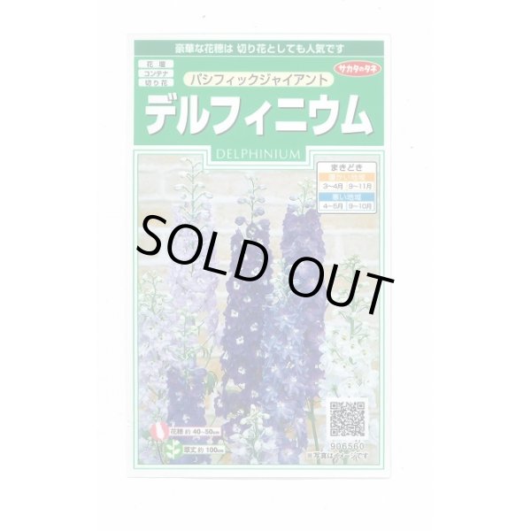 画像1: 送料無料　花の種　デルフィニウム　パシフィックジャイアント　約30粒　(株)サカタのタネ　実咲350（026257） (1)