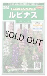 画像: 送料無料　花の種　ルピナス　ピクシーデライトミックス　約30粒　(株)サカタのタネ　実咲250（026298）