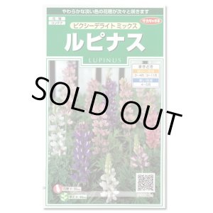 画像: 送料無料　花の種　ルピナス　ピクシーデライトミックス　約30粒　(株)サカタのタネ　実咲250（026298）