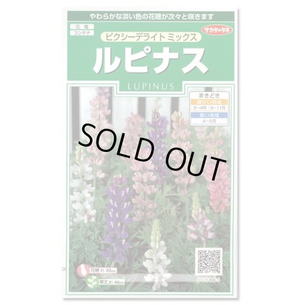 画像1: 送料無料　花の種　ルピナス　ピクシーデライトミックス　約30粒　(株)サカタのタネ　実咲250（026298） (1)