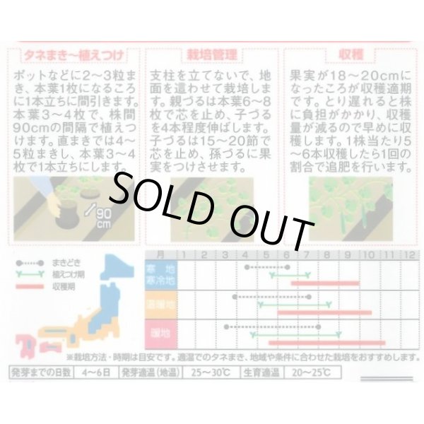 画像2: 送料無料　[キュウリ]　霜知らず地這　約50粒　(株)サカタのタネ　実咲350（002850） (2)