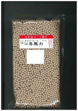 画像: 送料無料　大根　冬馬力　5000粒　ペレット種子　(株)サカタのタネ