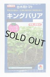 画像: 送料無料　[台木/トマト用]　キングバリア　50粒　タキイ種苗(株)