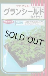 画像: 送料無料　[台木/トマト用]　グランシールド　50粒　(株)サカタのタネ