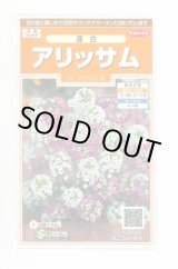 画像: 送料無料　花の種　アリッサム　混合　約300粒　（株）サカタのタネ　実咲200（026308）