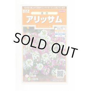 画像: 送料無料　花の種　アリッサム　混合　約300粒　（株）サカタのタネ　実咲200（026308）