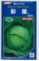 画像: 送料無料　[キャベツ]　彩里　2000粒　タキイ種苗(株)