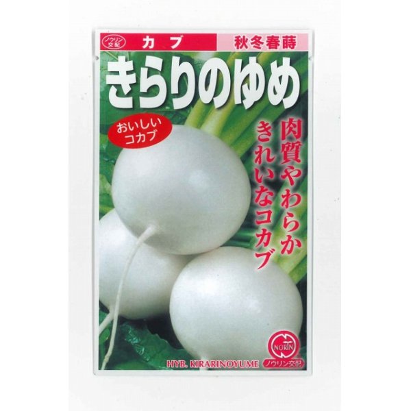 画像1: 送料無料　[かぶ]　きらりのゆめ　20ml　ノウリン交配 (1)