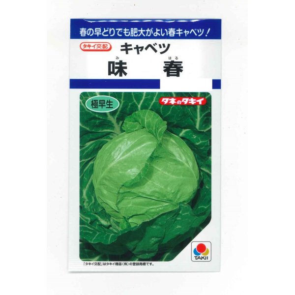 画像1: 送料無料　キャベツ　味春　1.2ml(約160粒)　タキイ種苗(株)　DF (1)