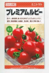 画像: 送料無料　[トマト/ミニトマト]　プレミアムルビー　100粒　カネコ交配