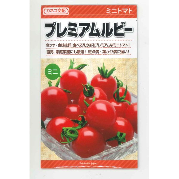 画像1: 送料無料　[トマト/ミニトマト]　プレミアムルビー　1000粒　カネコ交配 (1)