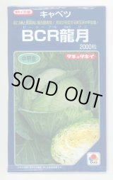 画像: 送料無料　[キャベツ]　ＢＣＲ龍月　2000粒　タキイ種苗(株)