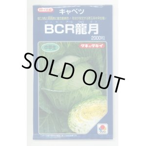 画像: 送料無料　[キャベツ]　ＢＣＲ龍月　2000粒　タキイ種苗(株)