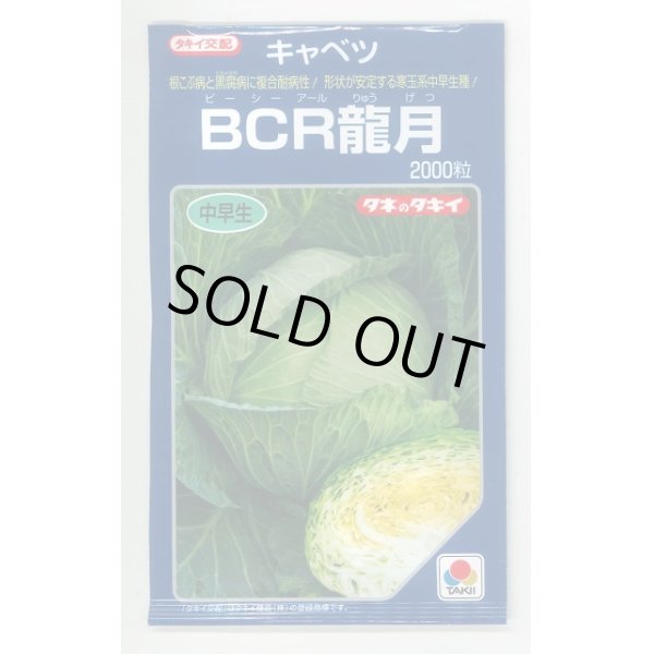 画像1: 送料無料　[キャベツ]　ＢＣＲ龍月　2000粒　タキイ種苗(株) (1)