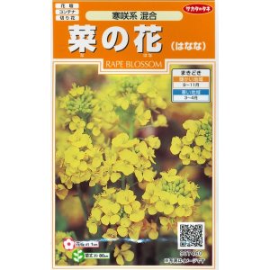 画像: 送料無料　花の種　菜の花　寒咲系混合　約120粒　(株)サカタのタネ　実咲200（026345）