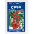 画像1: 送料無料　[トマト/ミニトマト]　CF千果　1000粒　貴種(コートしてません)　タキイ種苗(株) (1)