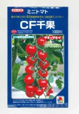 画像: 送料無料　[トマト/ミニトマト]　CF千果　1000粒　貴種(コートしてません)　タキイ種苗(株)