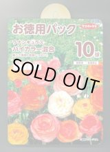 画像: 球根　お徳用パック　ラナンキュラス　バイカラー混合　10球入り　　(株)サカタのタネ