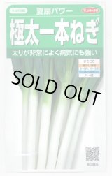 画像: 送料無料　[ねぎ]　夏扇パワー　3ml(粒数目安およそ500粒)　(株)サカタのタネ　実咲450（101526）