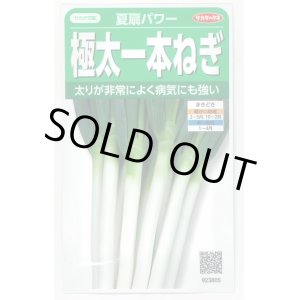 画像: 送料無料　[ねぎ]　夏扇パワー　3ml(粒数目安およそ500粒)　(株)サカタのタネ　実咲450（101526）