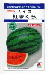 画像: 送料無料　[スイカ]　大玉スイカ　紅まくら　8粒　タキイ種苗(株)