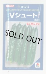 画像: 送料無料　[キュウリ]　Ｖシュート　350粒　タキイ種苗(株)