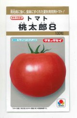 画像: 送料無料　[トマト/桃太郎系]　桃太郎8　100粒　タキイ種苗(株)