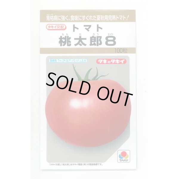 画像1: 送料無料　[トマト/桃太郎系]　桃太郎8　100粒　タキイ種苗(株) (1)