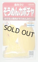 画像: 送料無料　[かぼちゃ]　そうめんカボチャ　金糸うり　約30粒　(株)サカタのタネ　実咲450（002881）