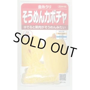 画像: 送料無料　[かぼちゃ]　そうめんカボチャ　金糸うり　約30粒　(株)サカタのタネ　実咲450（002881）