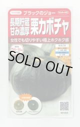 画像: 送料無料　[かぼちゃ]　ブラックのジョー　6粒　(株)サカタのタネ　実咲450（002875）