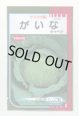 画像: 送料無料　[キャベツ]　がいな　2000粒　（株）サカタのタネ