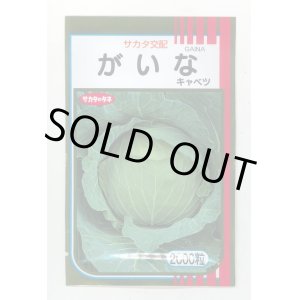 画像: 送料無料　[キャベツ]　がいな　2000粒　（株）サカタのタネ