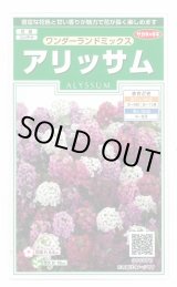 画像: 送料無料　花の種　アリッサム　ワンダーランドミックス　約43粒　(株)サカタのタネ　実咲250（102787）