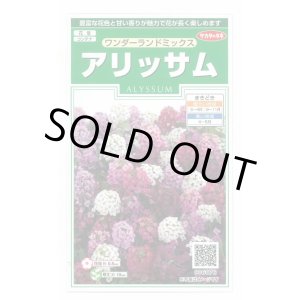 画像: 送料無料　花の種　アリッサム　ワンダーランドミックス　約43粒　(株)サカタのタネ　実咲250（102787）