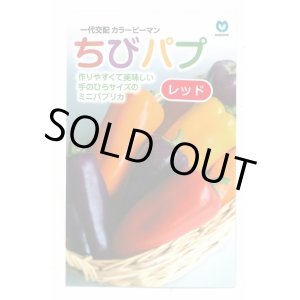 画像: 送料無料　[パプリカ]　ちびパプ　レッド　5粒　丸種(株)