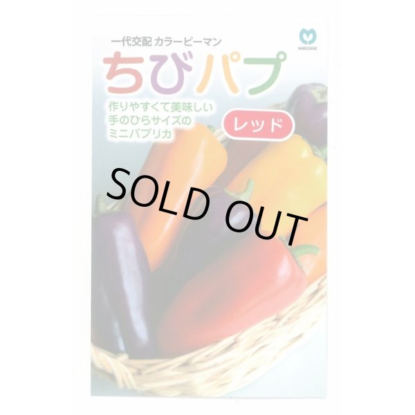 画像1: 送料無料　[パプリカ]　ちびパプ　レッド　5粒　丸種(株) (1)