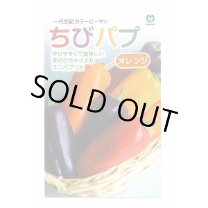 画像: 送料無料　[パプリカ]　ちびパプ　オレンジ　5粒　丸種(株)