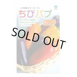 画像: 送料無料　[パプリカ]　ちびパプ　オレンジ　100粒　丸種(株)